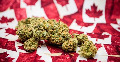 Herbe-cannabis-drapeau-canadien